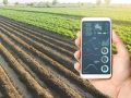 Bitkom survey: climate protection drives agriculture's digitisation
