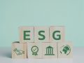 ESG study: High ambitions, low drive