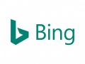 Chat function brings Bing new user record